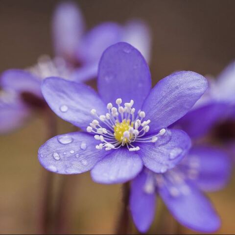 Εορτολόγιο: Σήμερα, 20 Σεπτεμβρίου, γιορτάζει… 