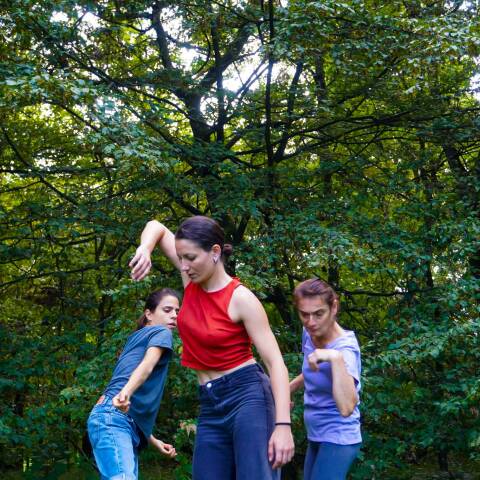 "Dancing fancy" της Μαρίας Κολλιοπούλου