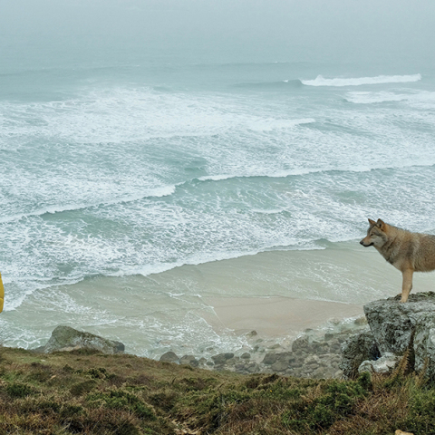 Το βιβλίο των θαυμάτων: Δέκα πράγματα που πρέπει να κάνεις πριν από το τέλος του κόσμου