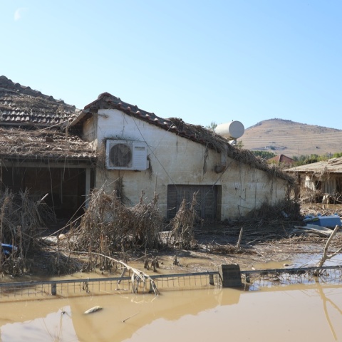 Πέντε επιβεβαιωμένα κρούσματα λεπτοσπείρωσης, υπό διερεύνηση δεκαεπτά στη Θεσσαλία