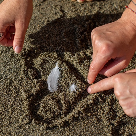 Κοινωνική δράση της Ελληνικής Καρδιολογικής Εταιρείας - Ενημέρωση και δωρεάν εξετάσεις στις 27 Σεπτεμβρίου στο μετρό Συντάγματος.