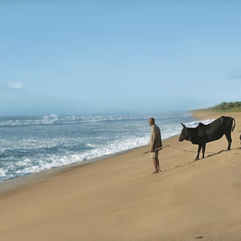 «Titi - Στο πέρασμα του κυκλώνα»: Στις Νύχτες Πρεμιέρας το ντοκιμαντέρ της Νατάσσας Μπλάτσιου σε συνεργασία με τους Γιατρούς Χωρίς Σύνορα.