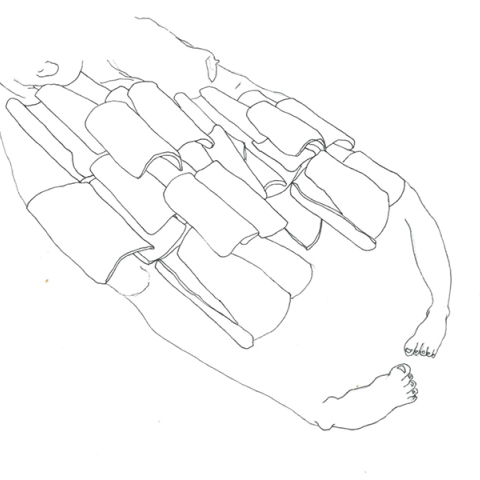 Η Αλεξία Ψαραδέλη αποτίει φόρο τιμής σε όλες τις θηλυκότητες 