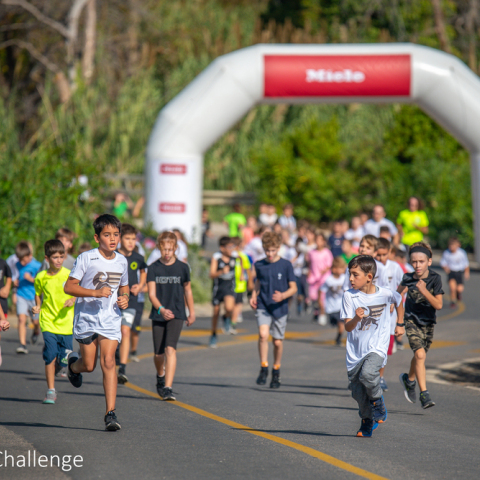 navarino_challenge_by_elias_lefas