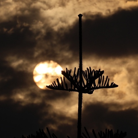 Ο καιρός αύριο: Νεφώσεις και τοπικές βροχές την Κυριακή 24 Σεπτεμβρίου – Έως 33 βαθμούς Κελσίου η θερμοκρασία στην Αθήνα - Η πρόγνωση του meteo και της EMY.