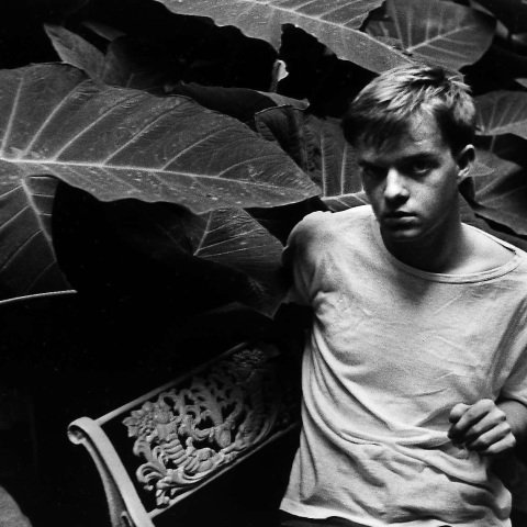 Τρούμαν Καπότε: Στο φως άγνωστο διήγημα του συγγραφέα των «Εν Ψυχρώ» και «Πρόγευμα στο Τίφανις» - Βρέθηκε σε σημειωματάριο στη Βιβλιοθήκη του Κογκρέσου.