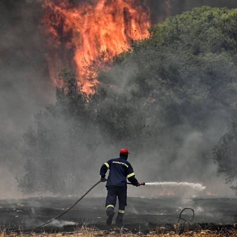 Πυρόπληκτοι: Νέες καταβολές πρώτης αρωγής ύψους 500.000 ευρώ προς τους πληγέντες - Παραμένει ανοιχτή για την υποβολή αιτήσεων η πλατφόρμα.
