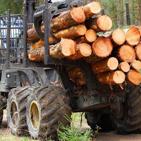 Πέλλα: Νεκρός σε τροχαίο 25χρονος οδηγός τρακτέρ - Μετέφερε συρόμενη καρότσα με ξύλα - Προανάκριση διενεργεί η τροχαία. 