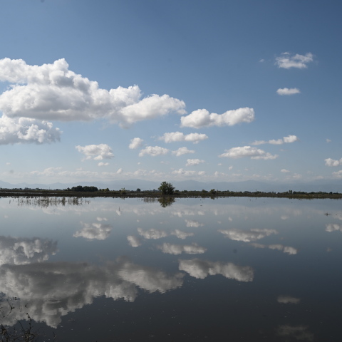 Το σχέδιο των Ολλανδών για τη «θωράκιση» του Θεσσαλικού κάμπου