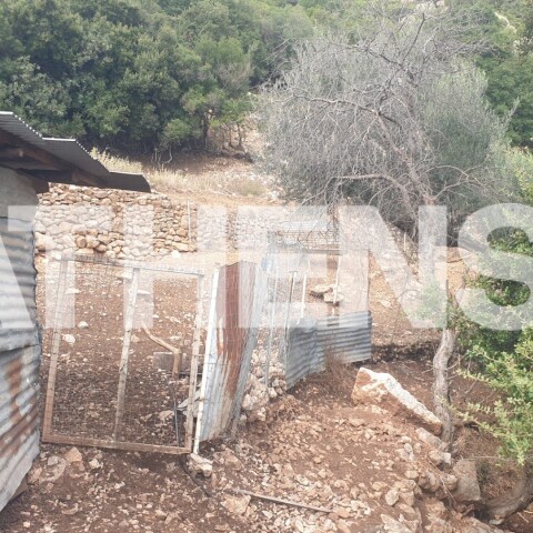 Άρτα: Εντοπισμός του 38χρονου γιου - Νεκρός ο πατέρας κοντά σε ποιμνιοστάσιο - Ο κτηνοτρόφος που βρήκε τον νεαρό γυμναστή μίλησε στην Athens Voice.