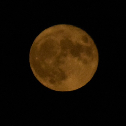 Πανσέληνος Σεπτεμβρίου στον σκοτεινό, νυχτερινό ουρανό