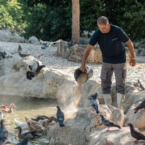 Κώστας Παρτσινέβελος 