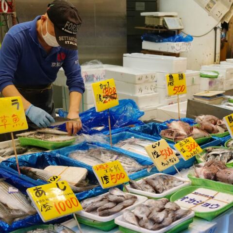 Ιχθυαγορά στην Ιαπωνία