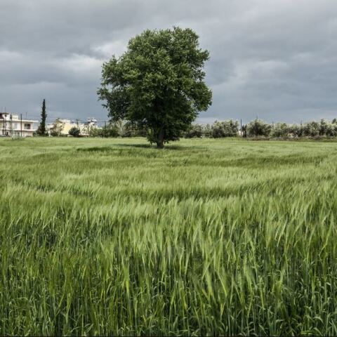 Με αραιές νεφώσεις και τοπικές βροχές ο καιρός την Παρασκευή