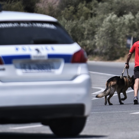 Σε ζητήματα προστασίας ζώων εκπαιδεύτηκαν στελέχη της Ελληνικής Αστυνομίας - Πώς μπορούν να καταγγέλλουν περιστατικά κακοποίησης οι πολίτες.