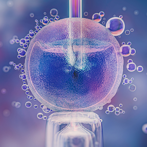 Όλα όσα θα θέλατε να μάθετε για την κρυοσυντήρηση ωαρίων