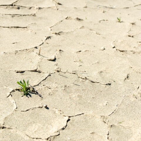 Ο πλανήτης είναι «στο χείλος της καταστροφής» 