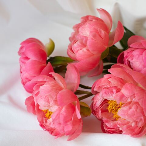 Λουλούδια μπουκέτο για τους εορτάζοντες της ημέρας