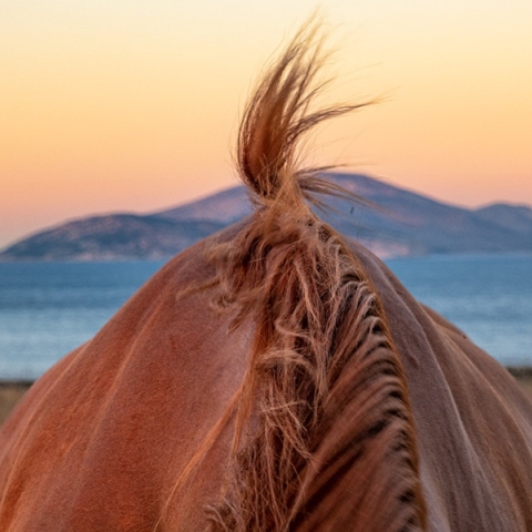 Κώστας Δελχάς: «Κάπου στο Αιγαίο» θα ξαναβρεθούμε
