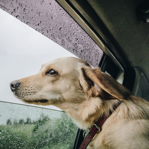Καιρός: Αίθριος με νεφώσεις και τοπικές βροχές - Έως 27 βαθμούς Κελσίου η θερμοκρασία - Πρόγνωση για όλη την Ελλάδα από το meteo και την ΕΜΥ. 