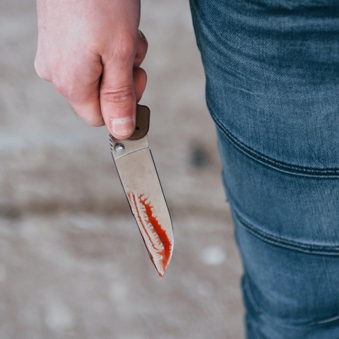 ΕΛ.ΑΣ.: 1.353 συλλήψεις ανηλίκων για 1.201 υποθέσεις τον Σεπτέμβριο για την αντιμετώπιση της παραβατικότητας - Ποια παραπτώματα αφορούν.