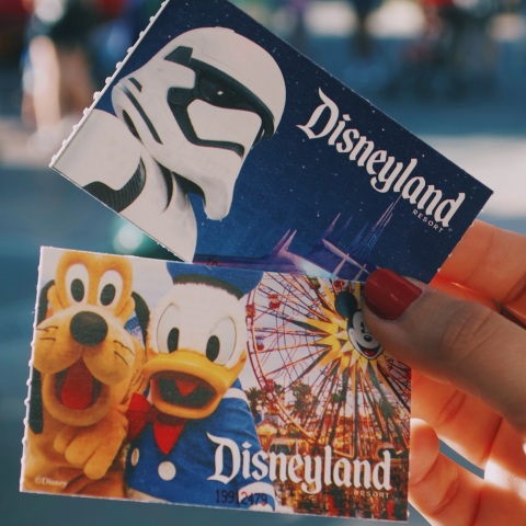 Στη Ντίσνεϊλαντ στο Παρίσι, αντί για το Στρασβούργο που είχε προορισμό, έφτασε τρένο το οποίο είχε αναχωρήσει από τις Βρυξέλλες - Ταξίδευαν ευρωβουλευτές.