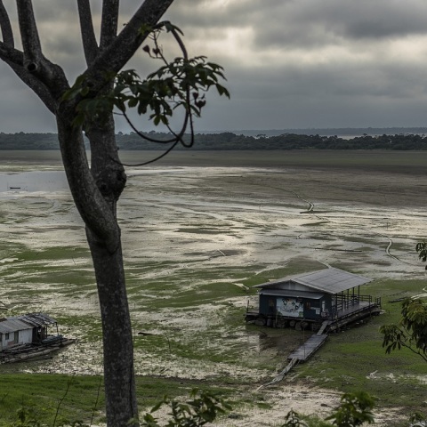Αμαζόνιος: Λιμάνι στο τροπικό δάσος καταγράφει τη χαμηλότερη στάθμη νερού των τελευταίων 121 ετών εν μέσω ξηρασίας - Οι επιπτώσεις στο οικοσύστημα.