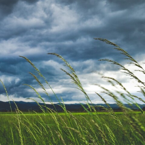 Φθινοπωρινό σκηνικό την Τετάρτη με βροχές και καταιγίδες