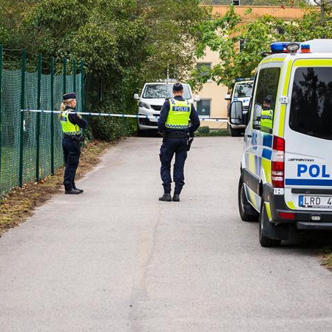 Βία και συμμορίες στη Σουηδία