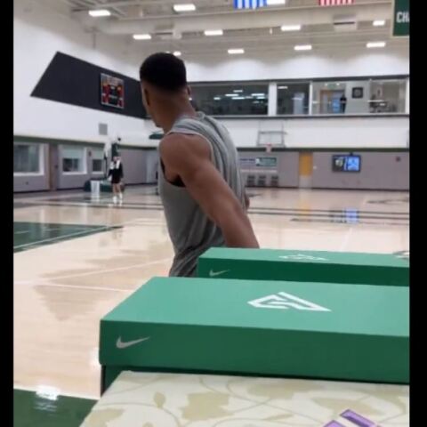antetokounmpo