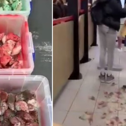 Βρετανία: Άνδρας πέταξε ποντίκια βαμμένα στα χρώματα της παλαιστινιακής σημαίας σε εστιατόριο της αλυσίδας Mc Donald’s - Έντρομοι οι πελάτες.