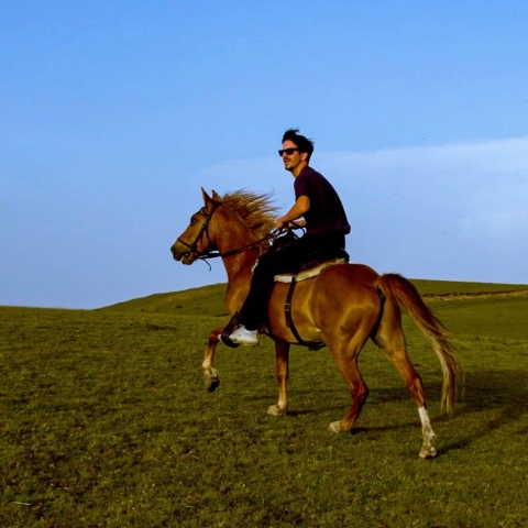 Άρης Αβέλλας