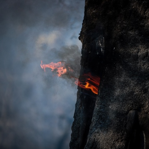 Φωτιά σε δέντρο και καπνοί που αναδύονται από τον κορμό