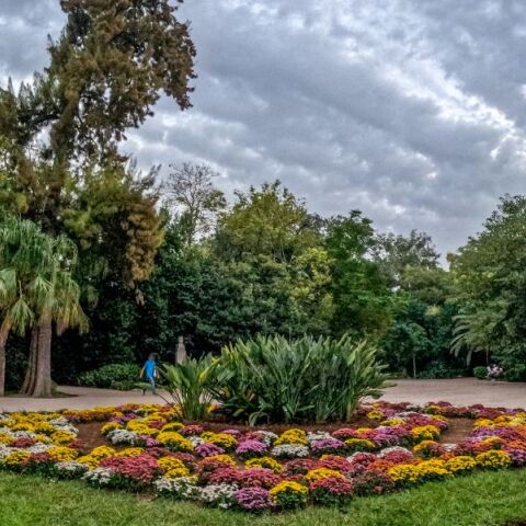 Καιρός: Βελτιωμένος τη Δευτέρα 6 Νοεμβρίου - Έως τους 28 βαθμούς Κελσίου η θερμοκρασία - Πού θα σημειωθούν τοπικές βροχές - Η πρόγνωση του meteo και της ΕΜΥ.