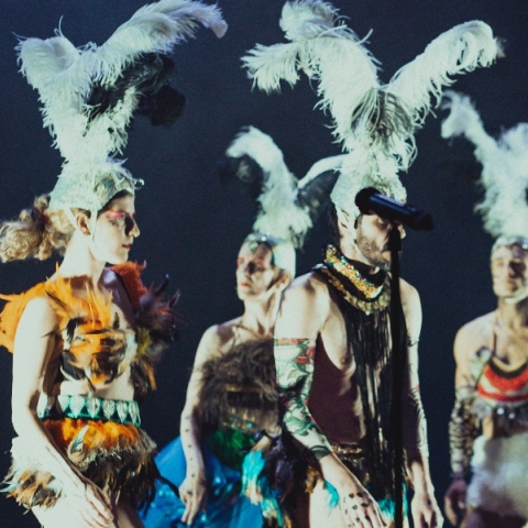 O «Amazing» κόσμος της ομάδας χορού Griffón