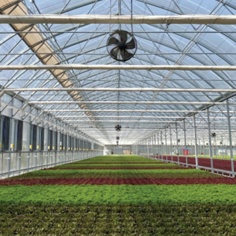 Ένας Μαγικός Κήπος ανθίζει από την ΕΝΤΕΚΑ