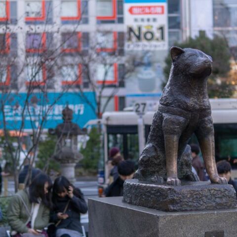 Ο πιο πιστός σκύλος της Ιαπωνίας γίνεται «100 ετών»