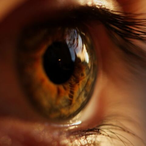 ΗΠΑ: Χειρουργοί στη Νέα Υόρκη μεταμόσχευσαν για πρώτη φορά με επιτυχία ολόκληρο οφθαλμικό βολβό σε έναν ασθενή - Τι σηματοδοτεί η εξέλιξη. 