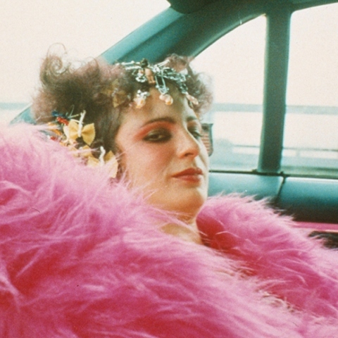 «Όλη η Ομορφιά και η Αιματοχυσία»: Το πολυβραβευμένο ντοκιμαντέρ κάνει πρεμιέρα στο ΕΜΣΤ