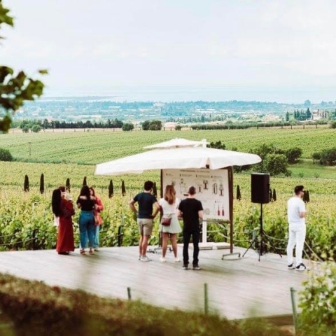 Παγκόσμια Ημέρα Οινοτουρισμού την Κυριακή 12 Νοεμβρίου και γνωστά οινοποιεία της χώρας ανοίγουν τις πόρτες τους στο κοινό 