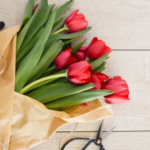 Εορτολόγιο: Σήμερα 14 Νοεμβρίου γιορτάζει…