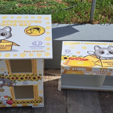 Αλυσίδα φροντίδας για τις αδέσποτες γατούλες της Ηλιούπολης