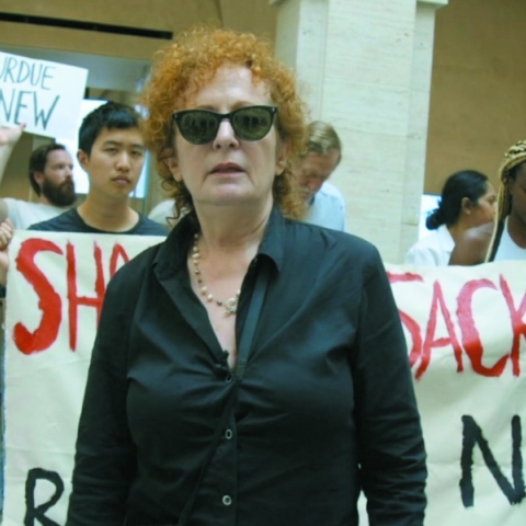 Όλη η ομορφιά και η αιματοχυσία (All the Beauty and the Bloodshed)