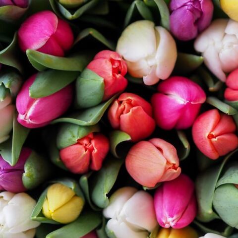 Εορτολόγιο: Σήμερα 16 Νοεμβρίου γιορτάζει…