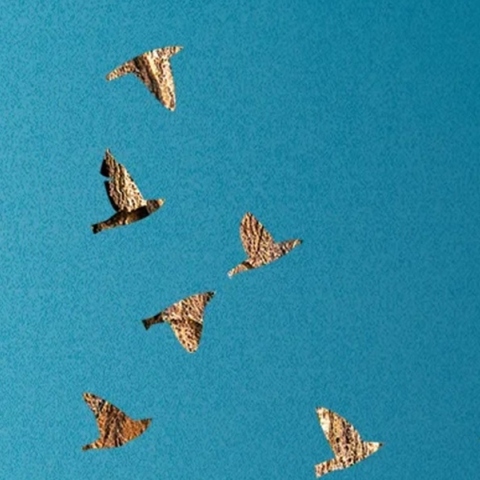 Για το μυθιστόρημα «Οι χαμένες μας καρδιές» της Celeste Ng (μετάφραση Μαρτίνα Ασκητοπούλου, 440 σελίδες, Εκδόσεις Μεταίχμιο)