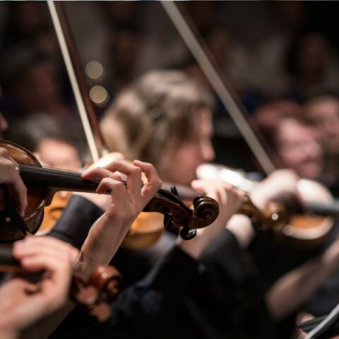 Καλύτερες συνθήκες εργασίας στις τέχνες και τον πολιτισμό ζητά το Ευρωκοινοβούλιο