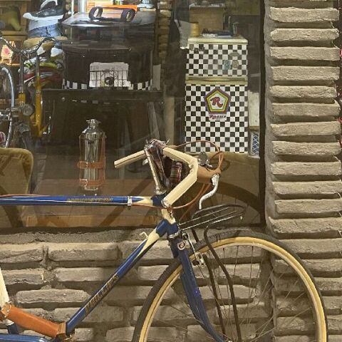 «Bike in the city»