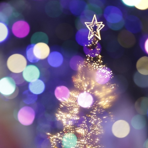 Χριστουγεννιάτικο δέντρο στην πλατεία Συντάγματος - Το αστέρι στην κορυφή