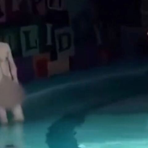 Συνελήφθη γυμνός 26χρονος άνδρας στην Disneyland - Δείτε βίντεο