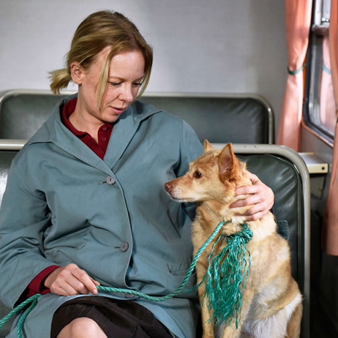 Πεσμένα φύλλα: Η συναισθηματική ζεστασιά του Άκι Καουρισμάκι